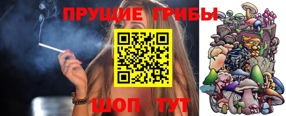Галлюциногенные грибы GOLDEN TEACHER  Вход с VPN  Щёлково 