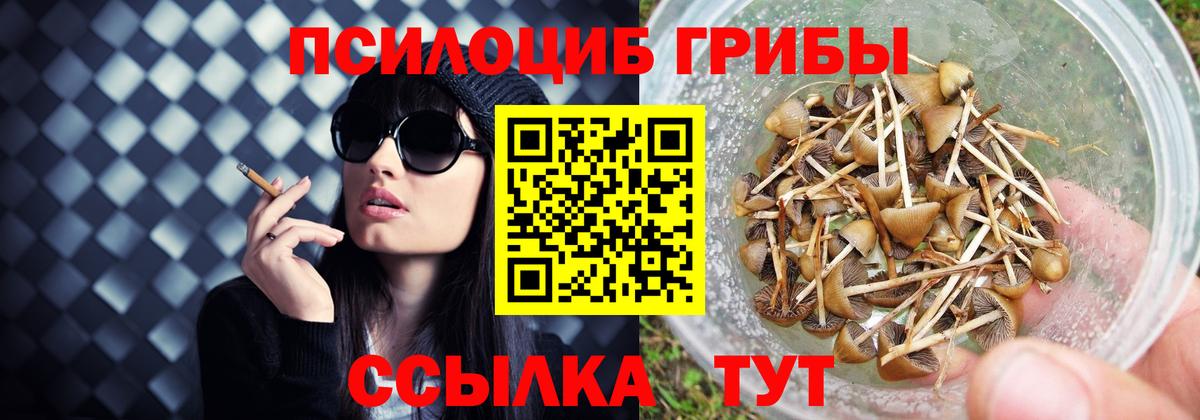 Галлюциногенные грибы Cubensis Щёлково